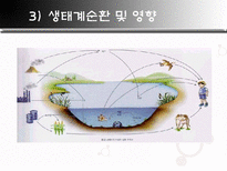 자연과학 폐광 소리 없는 환경 폭탄-17