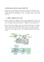 GMO Genetically Modified Organism 식품에 대하여-2