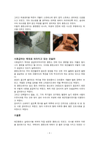 애견훈련소의 실태조사-6