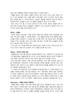 민들레 영토 복합문화카페 민들레 영토 민들레 영토 환경 분석-3