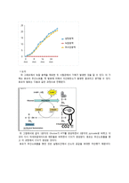 효모 발효실험 발효와 호흡-4