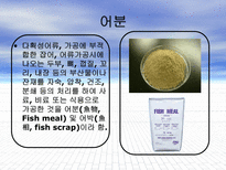 자연과학 Sea Food by products-15