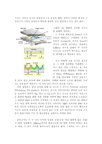 디스플레이기초공학 PDP의구조와특징-4