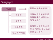 와인 여행 와인 역사 와인 제조법 와인생산지 와인 종류 와인 등급 와인 테이블-14
