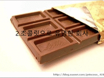 초콜릿 한층 더 즐기는 방법 초콜릿 기본 지식 초콜릿 유명 회사 초콜릿 어울리는 음식 초콜릿 제조 과정 초콜릿 종류 초콜릿 구성 성분 초콜릿 만드는 방법 고디바 드보르 갈래 가라델리-13
