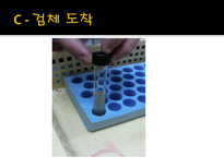 미생물 실습 미생물 검사 목적 미생물 검체 도착 균 배양 균의 특이 집락 채취-3