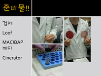 미생물 실습 미생물 검사 목적 미생물 검체 도착 균 배양 균의 특이 집락 채취-4