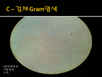 미생물 실습 미생물 검사 목적 미생물 검체 도착 균 배양 균의 특이 집락 채취-5