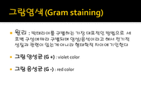 미생물 실습 미생물 검사 목적 미생물 검체 도착 균 배양 균의 특이 집락 채취-10