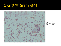 미생물 실습 미생물 검사 목적 미생물 검체 도착 균 배양 균의 특이 집락 채취-12