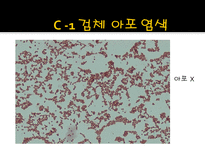 미생물 실습 미생물 검사 목적 미생물 검체 도착 균 배양 균의 특이 집락 채취-15