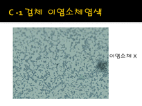 미생물 실습 미생물 검사 목적 미생물 검체 도착 균 배양 균의 특이 집락 채취-18