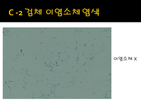 미생물 실습 미생물 검사 목적 미생물 검체 도착 균 배양 균의 특이 집락 채취-19