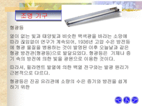 공학 형광등의 원리-3