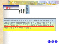 공학 형광등의 원리-10