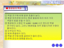 공학 형광등의 원리-11