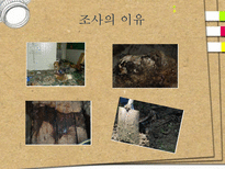 애견훈련학교 실태조사-3