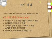 애견훈련학교 실태조사-5
