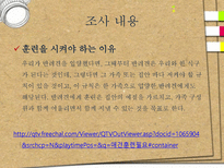 애견훈련학교 실태조사-6