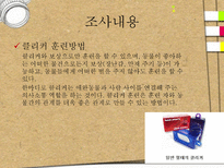 애견훈련학교 실태조사-8