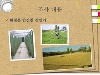 애견훈련학교 실태조사-9