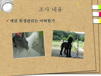 애견훈련학교 실태조사-10