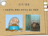 애견훈련학교 실태조사-11