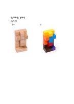 자연과학 소마 큐브-9