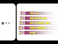생태도시의 쿠바의 아바나 소개-2
