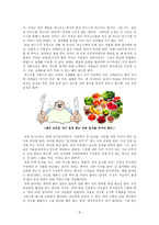 우리가 먹는 음식-그래도 입에 넣고 있는 거 다 안다-4