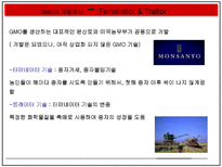 자연과학 GMO 득과 실-11