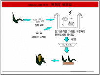 자연과학 GMO 득과 실-14