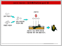 자연과학 GMO 득과 실-15