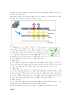 과학기술사 LCD에 대하여-4