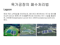 자연과학 부산물 가공학 육가공-9