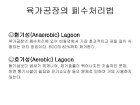자연과학 부산물 가공학 육가공-11