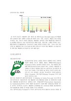 CO2의 영향 레포트-5