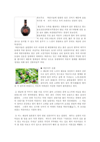 자연과학 술 조사 문배주 복분자주 가시오가피주-4