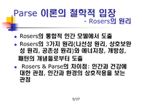 Rosemarie Rizzo Parse 인간되어감 이론-5