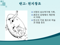 중국문화의 이해 중국의 문학-10
