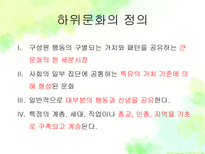 하위문화 인종적 하위문화 종교적 하위문화 지역적 하위문화 하위문화 소개-4