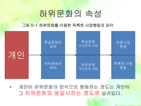 하위문화 인종적 하위문화 종교적 하위문화 지역적 하위문화 하위문화 소개-5