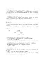 교육학 음운단위로서의 음절 The Syllable as a Phonological Unit-7