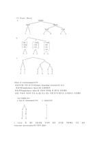 교육학 음운단위로서의 음절 The Syllable as a Phonological Unit-8