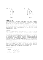 교육학 음운단위로서의 음절 The Syllable as a Phonological Unit-10