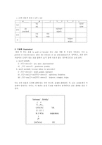 교육학 음운단위로서의 음절 The Syllable as a Phonological Unit-13