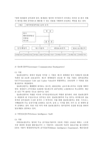 영국의 정보기관 영국 정보기관 소개 영국 정보기관 조사 영국 정보기관 정보통신-9