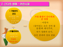 마하트마 간디 1869 1948 주먹 쥔 손으로는 악수할 수 없다-6