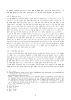 인문과학 연옥의 탄생 제5장을 통해 고찰한 12세기 연옥의 정립-5