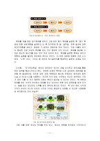 파슨스의 사회통합 관점에서 살펴본 자기주도학습 효과 전망-11